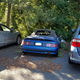 Illustration for article titled Is this 1991 Lotus Elan worth saving?